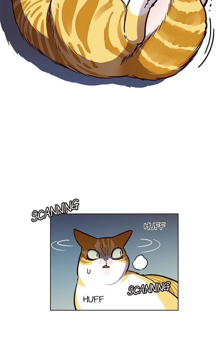Eleceed Chapter 56 page 15 - 