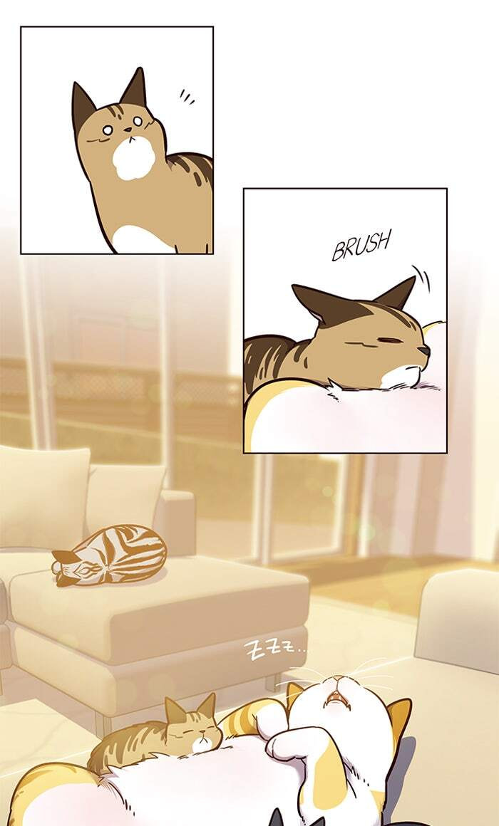 Eleceed Chapter 56 page 21 - 