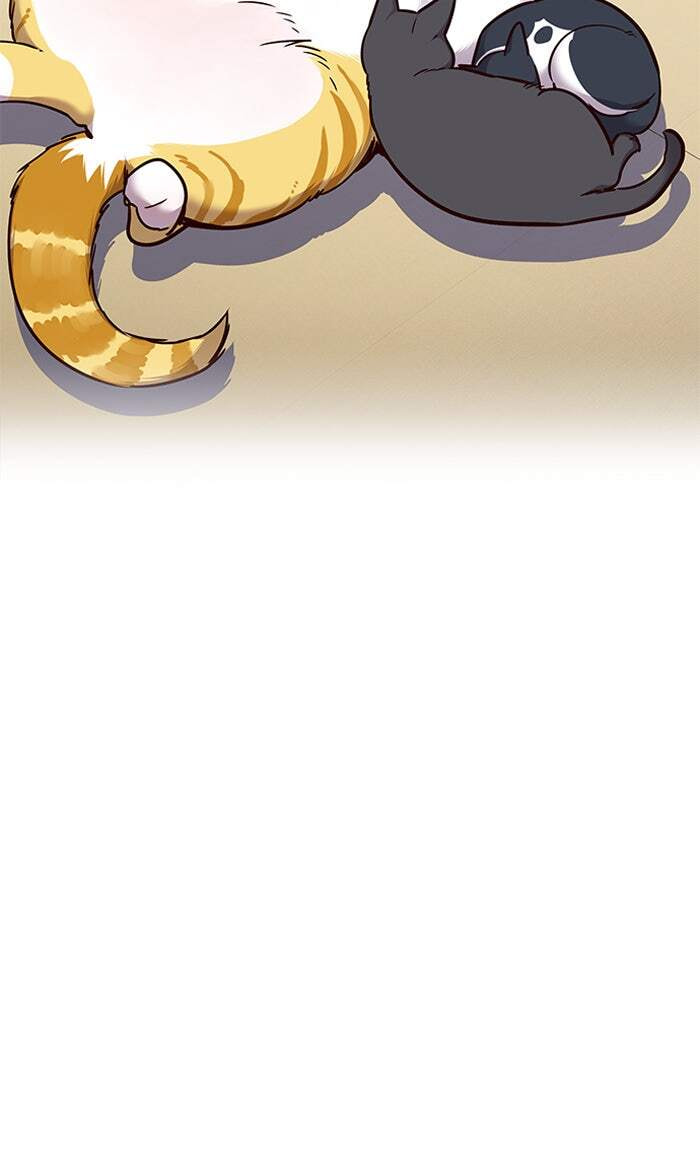 Eleceed Chapter 56 page 22 - 