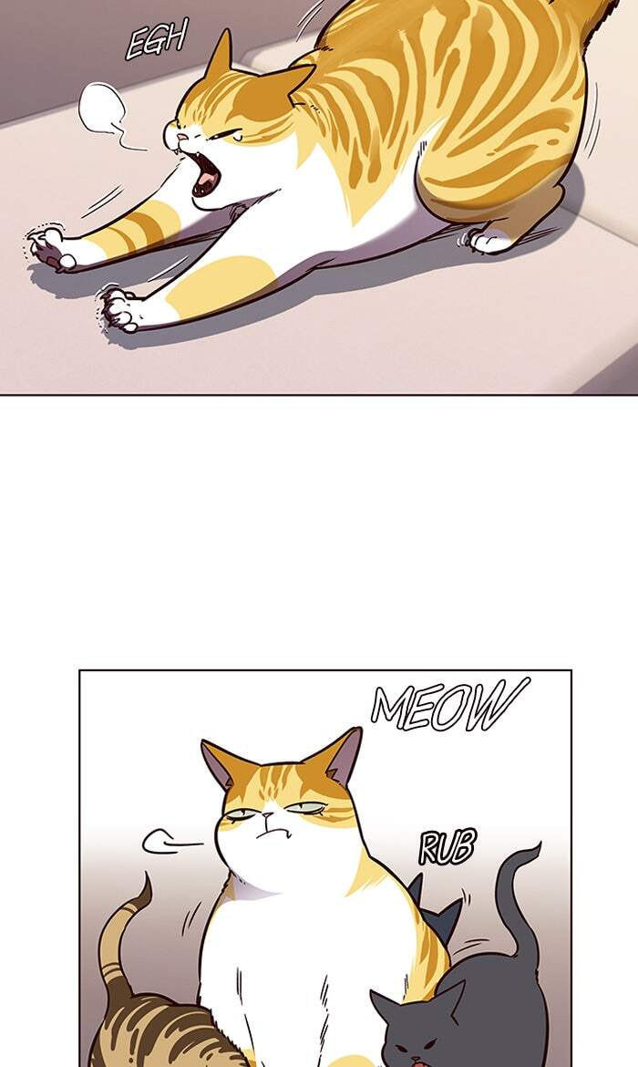 Eleceed Chapter 56 page 52 - 
