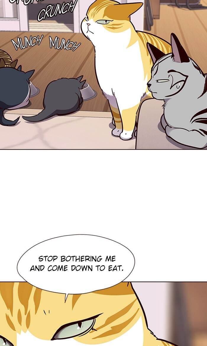 Eleceed Chapter 56 page 56 - 