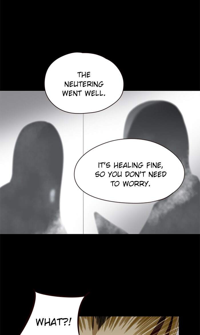 Eleceed Chapter 56 page 8 - 