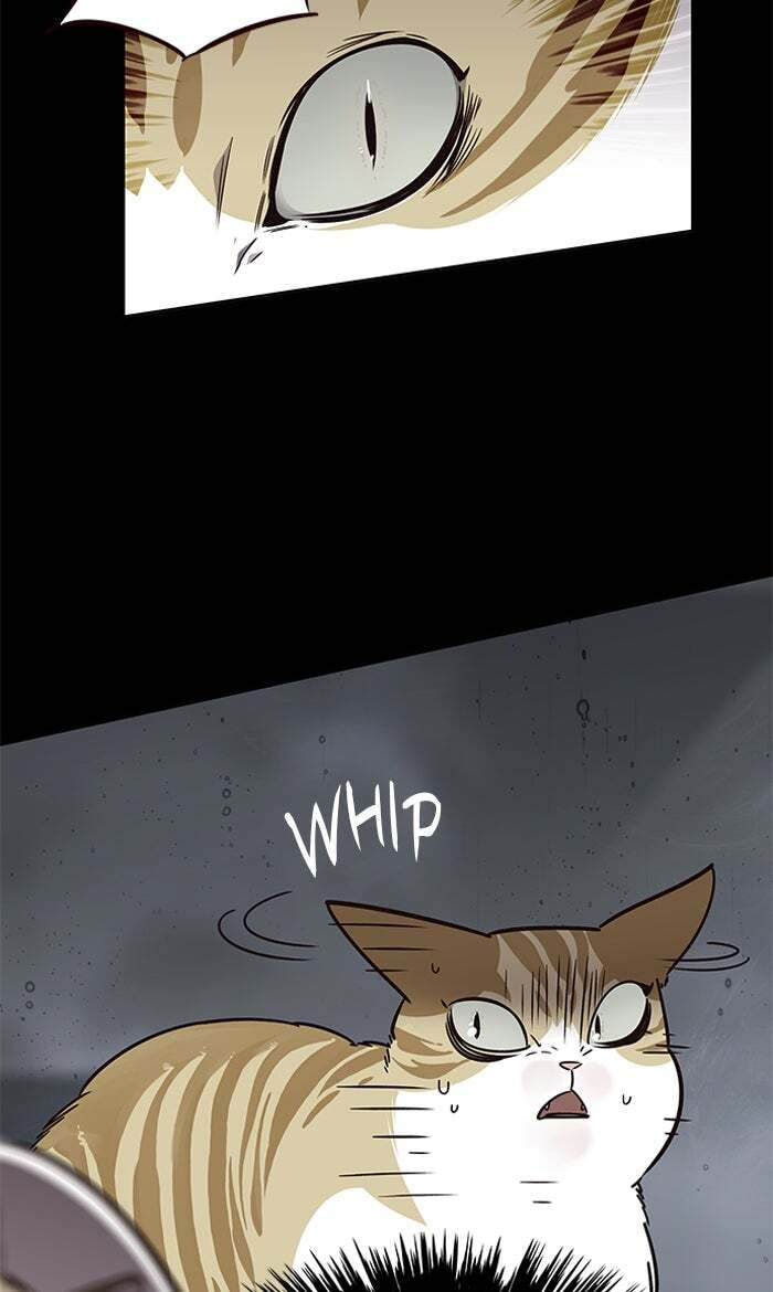 Eleceed Chapter 56 page 9 - 