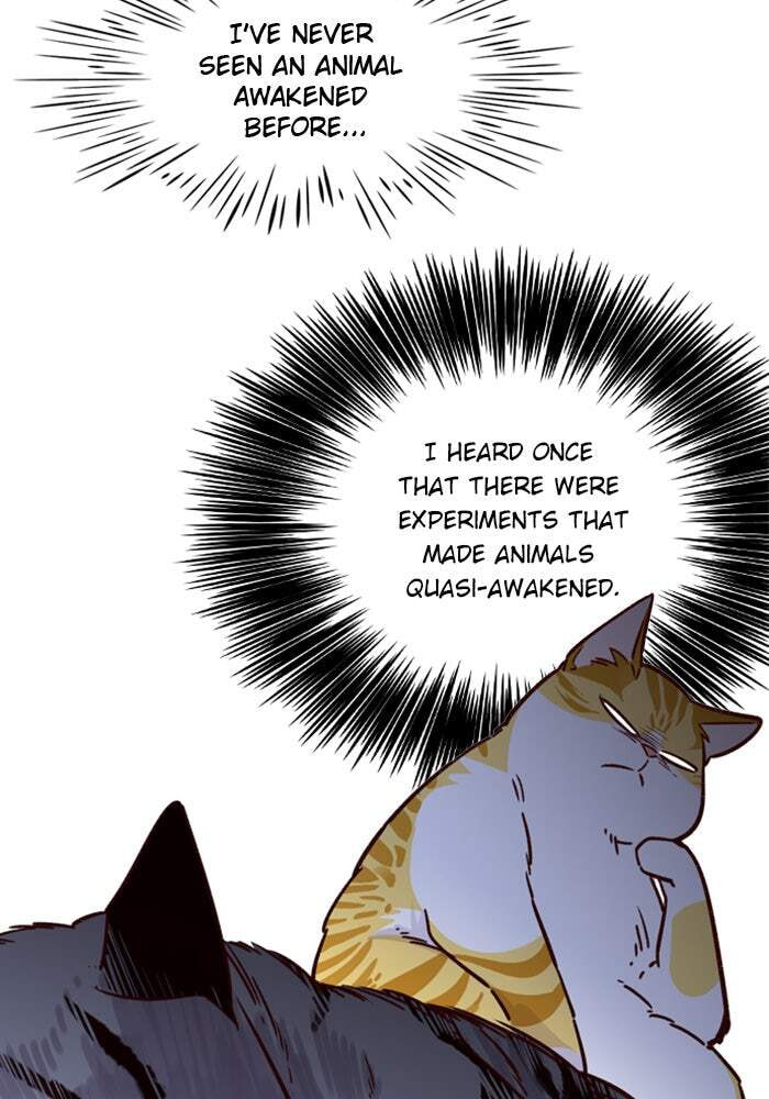 Eleceed Chapter 6 page 12 - 