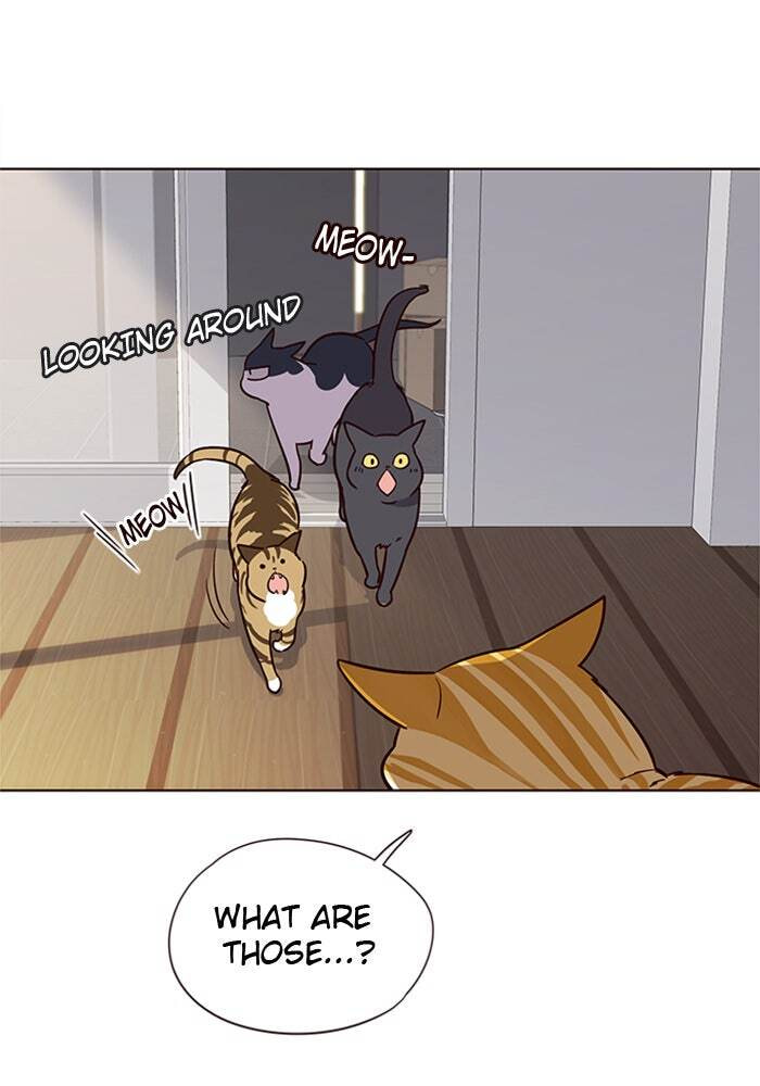 Eleceed Chapter 6 page 62 - 