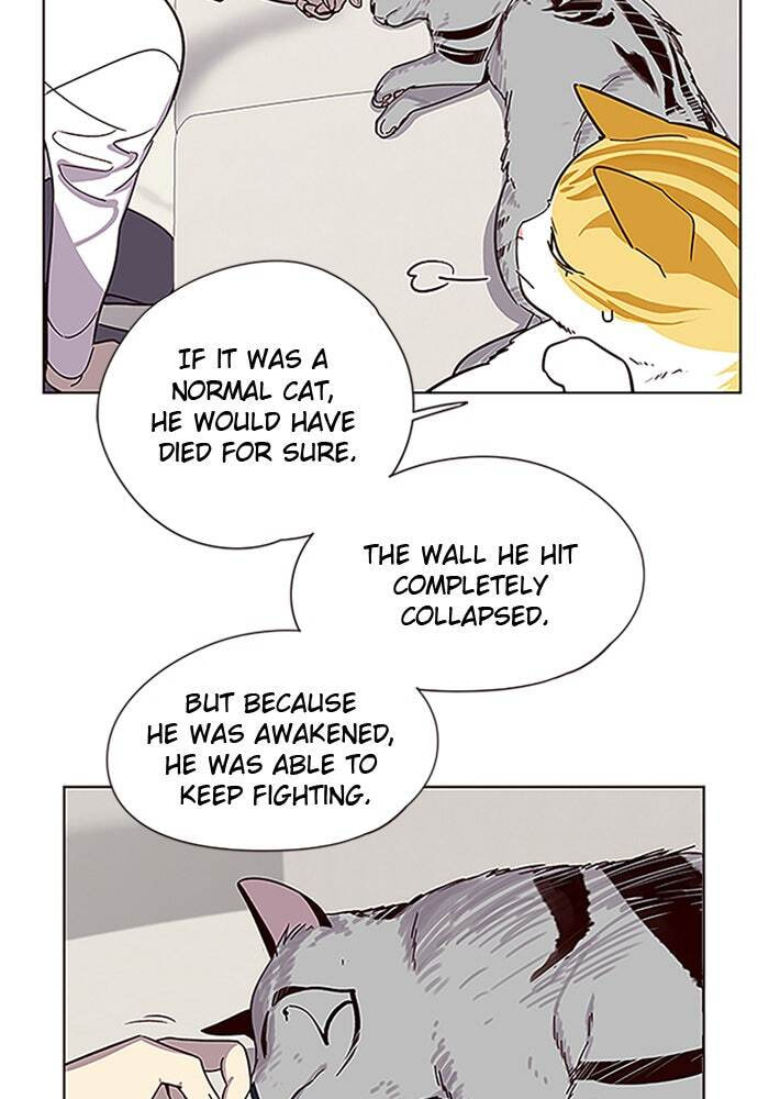 Eleceed Chapter 6 page 8 - 
