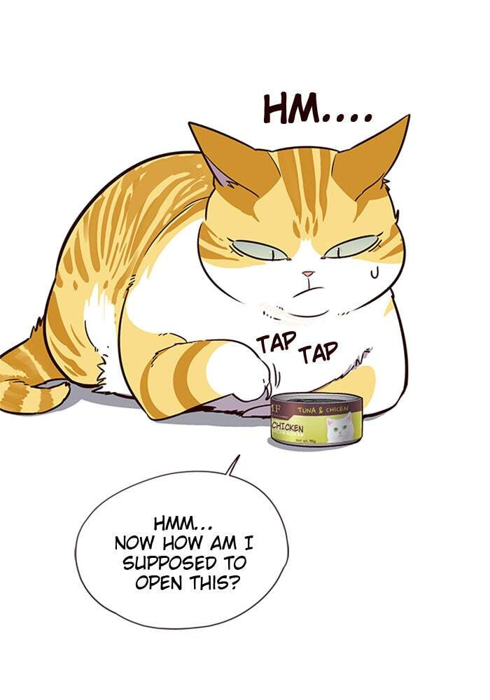 Eleceed Chapter 6 page 81 - 