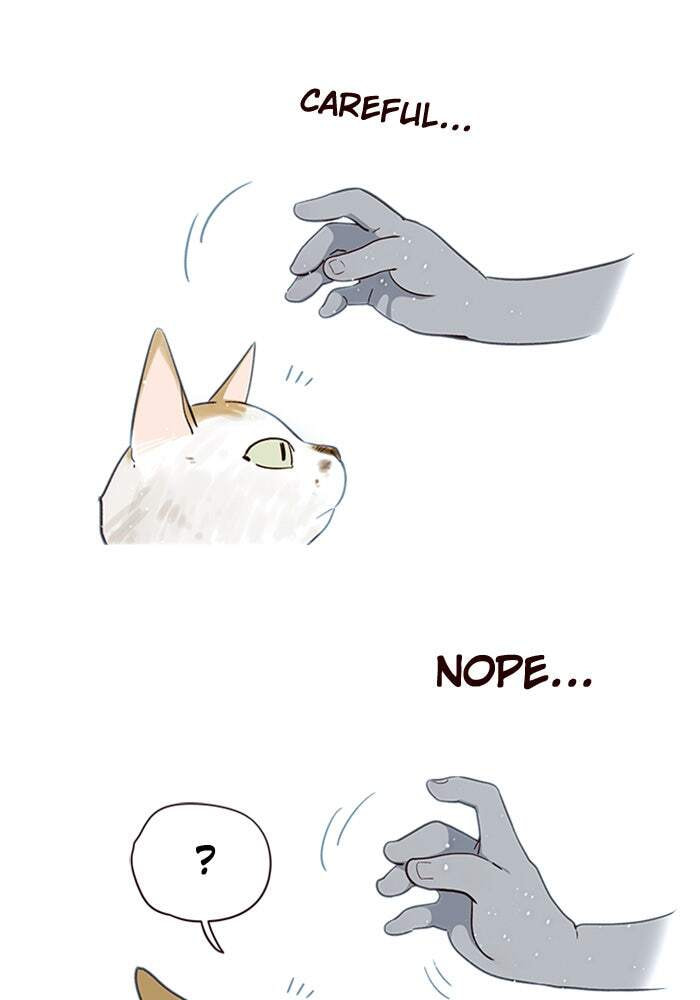 Eleceed Chapter 7 page 22 - 