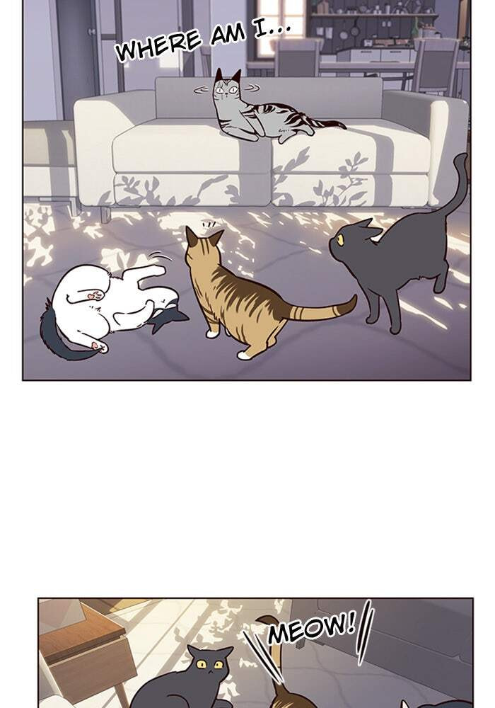 Eleceed Chapter 7 page 66 - 