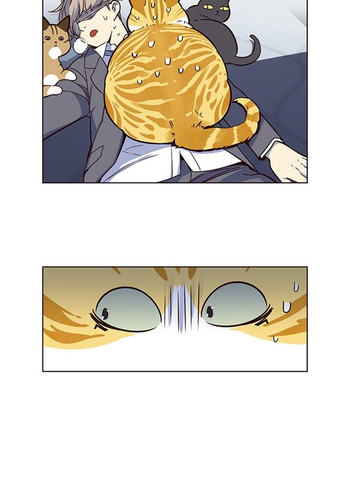Eleceed Chapter 8 page 49 - 