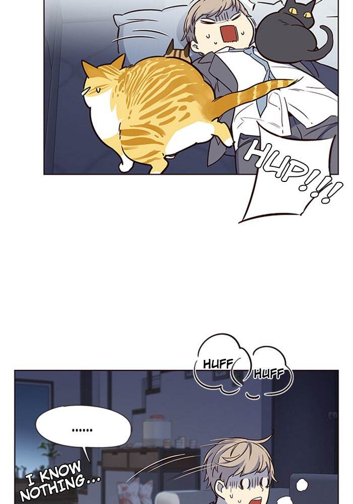 Eleceed Chapter 8 page 51 - 