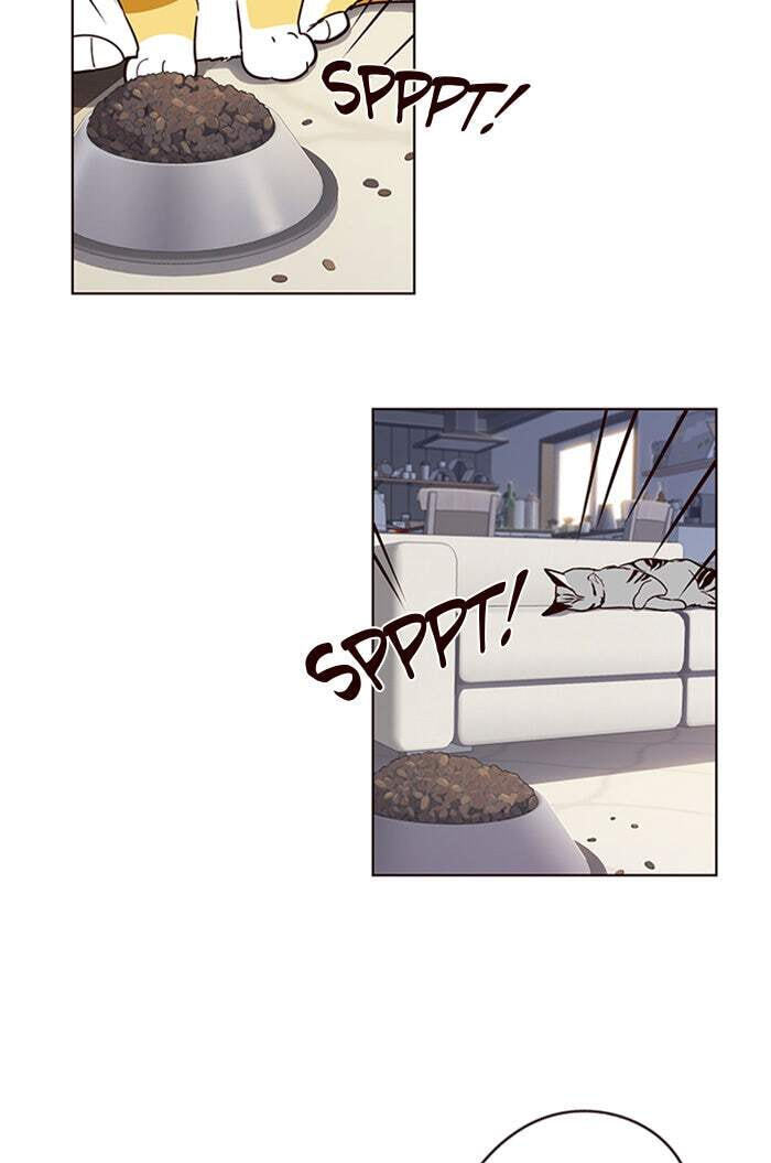 Eleceed Chapter 9 page 14 - 