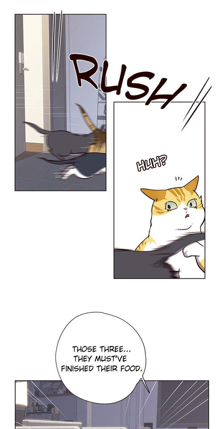 Eleceed Chapter 9 page 28 - 