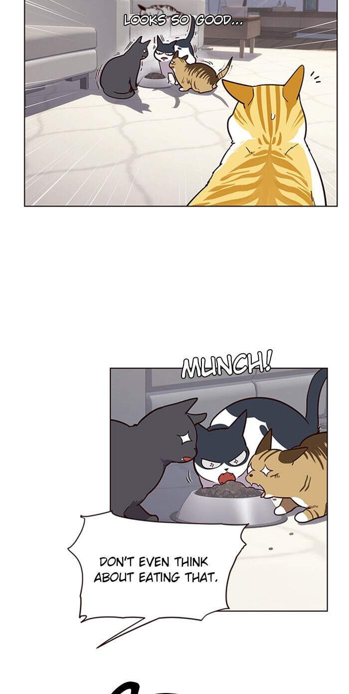 Eleceed Chapter 9 page 29 - 