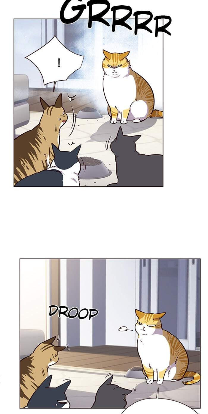 Eleceed Chapter 9 page 30 - 