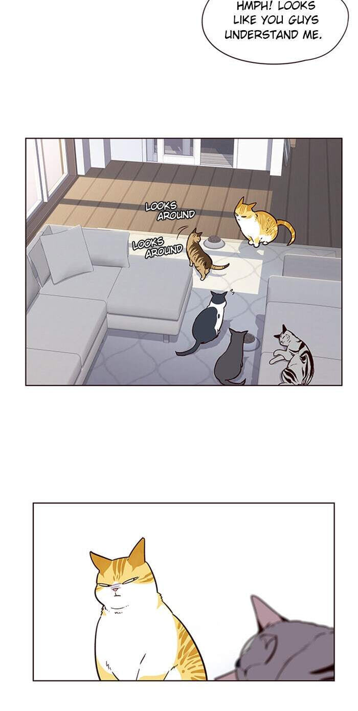 Eleceed Chapter 9 page 31 - 