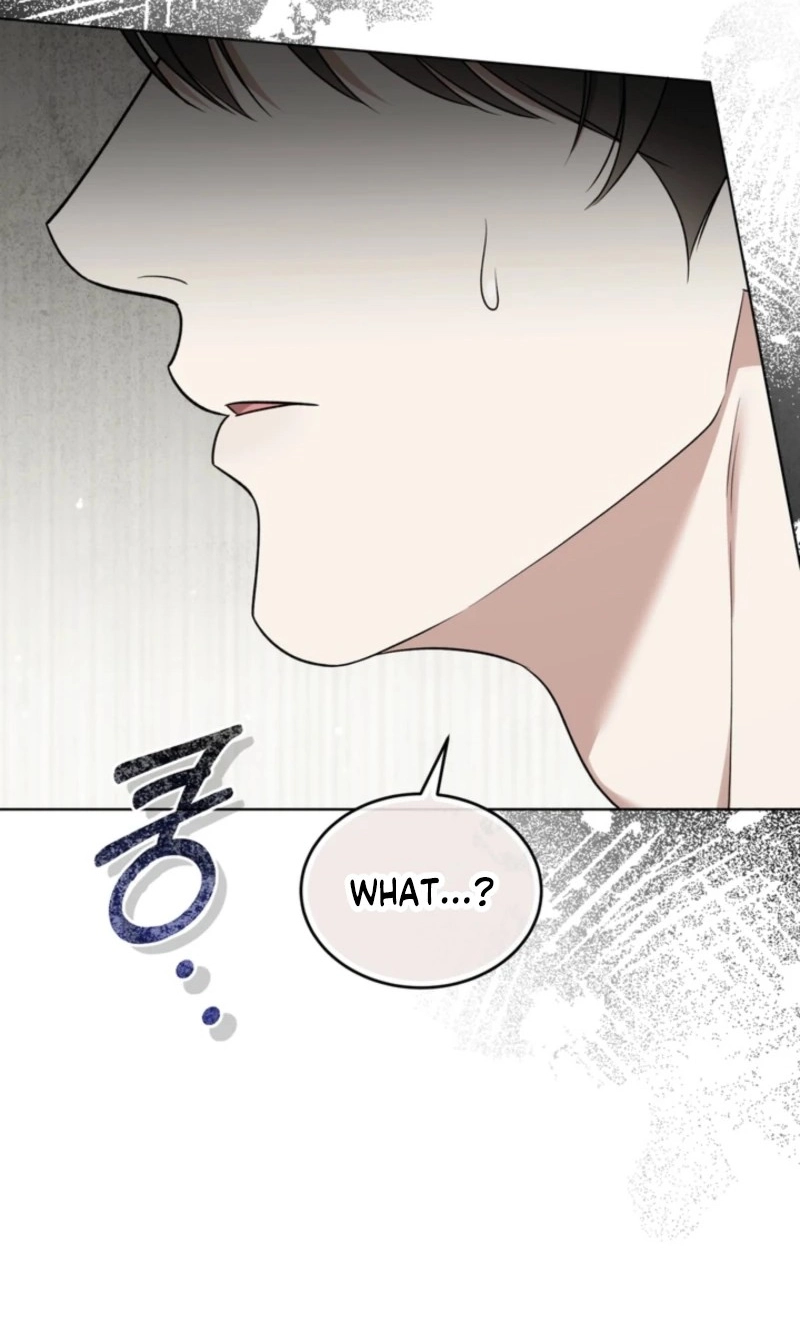 Elegant Destruction Chapter 16 page 65 - 