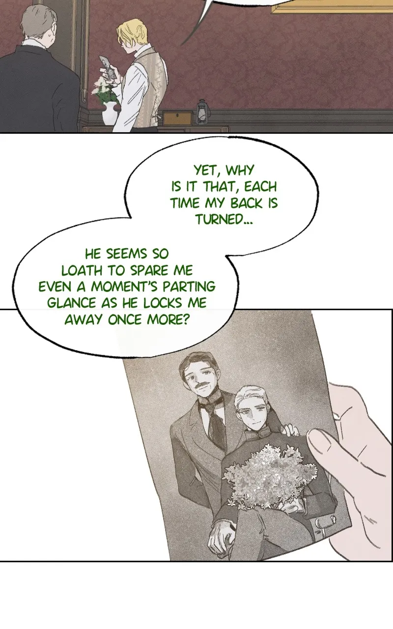 Emerald Midnight's Lover Chapter 39 page 40 - 