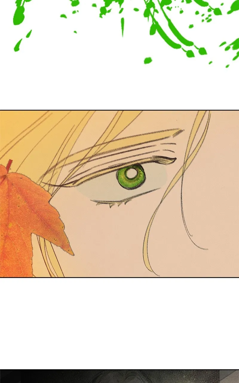 Emerald Midnight's Lover Chapter 53 page 2 - 