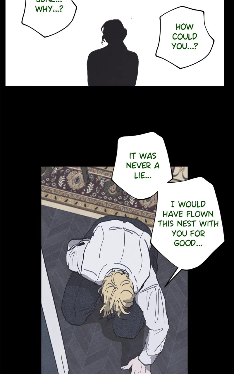 Emerald Midnight's Lover Chapter 64 page 40 - 