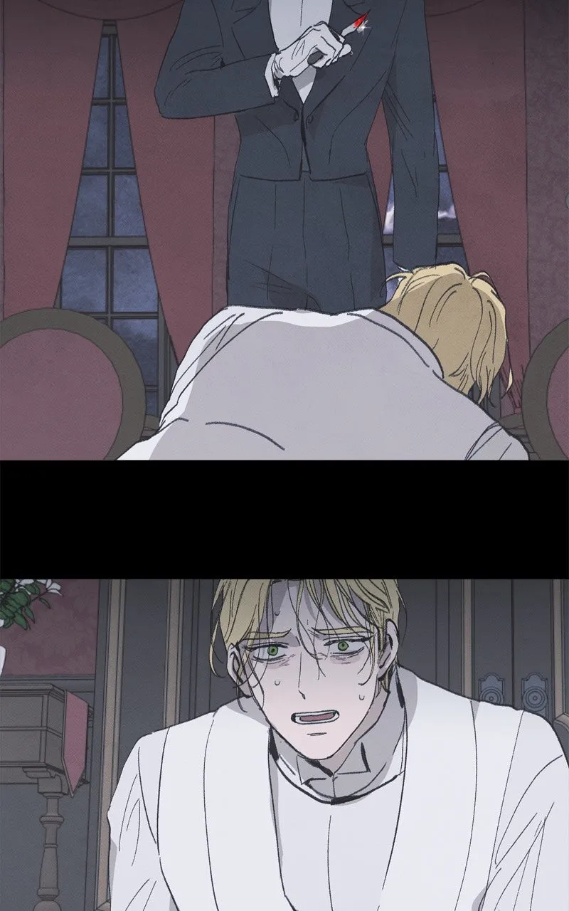 Emerald Midnight's Lover Chapter 65 page 4 - 