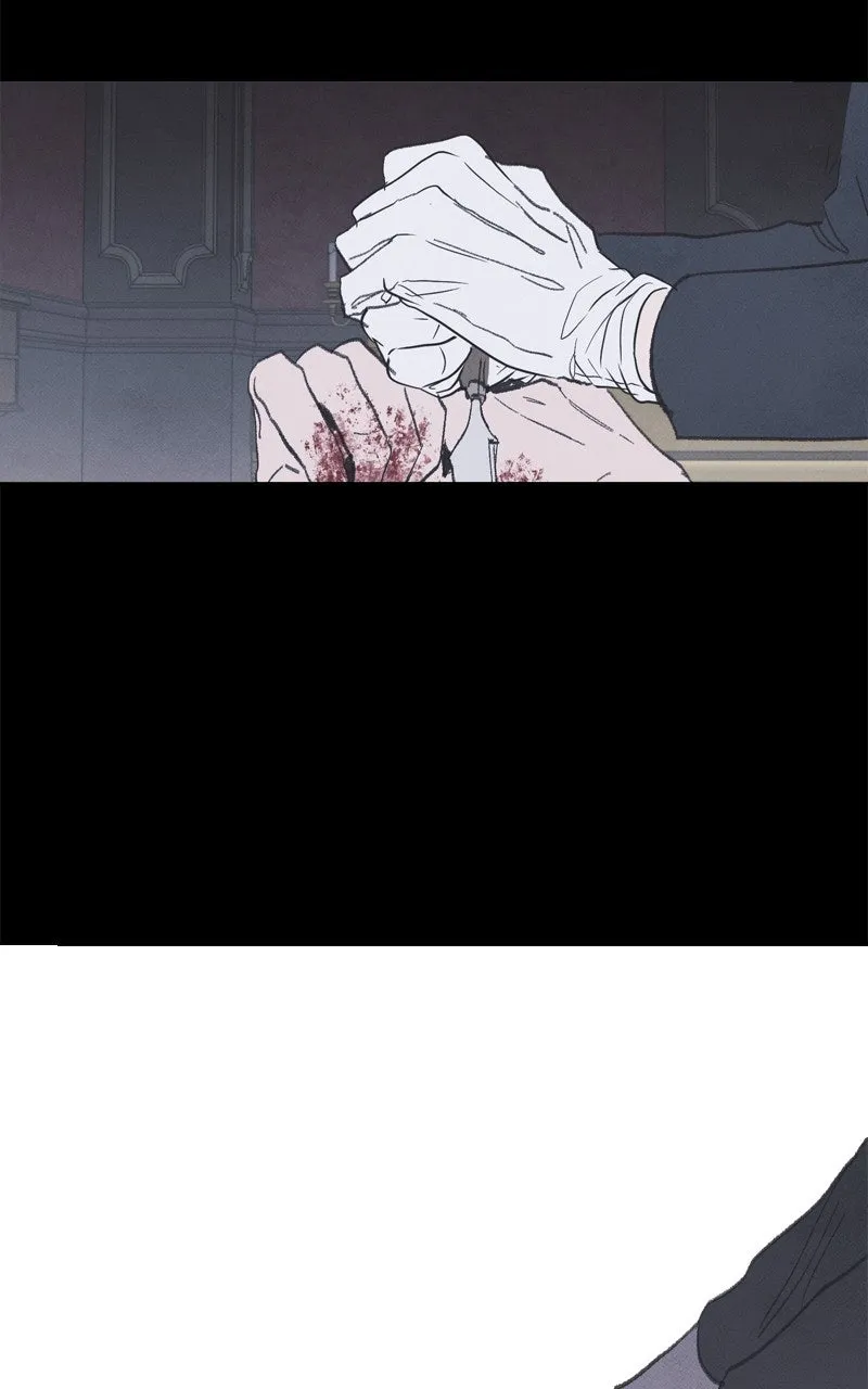 Emerald Midnight's Lover Chapter 65 page 41 - 