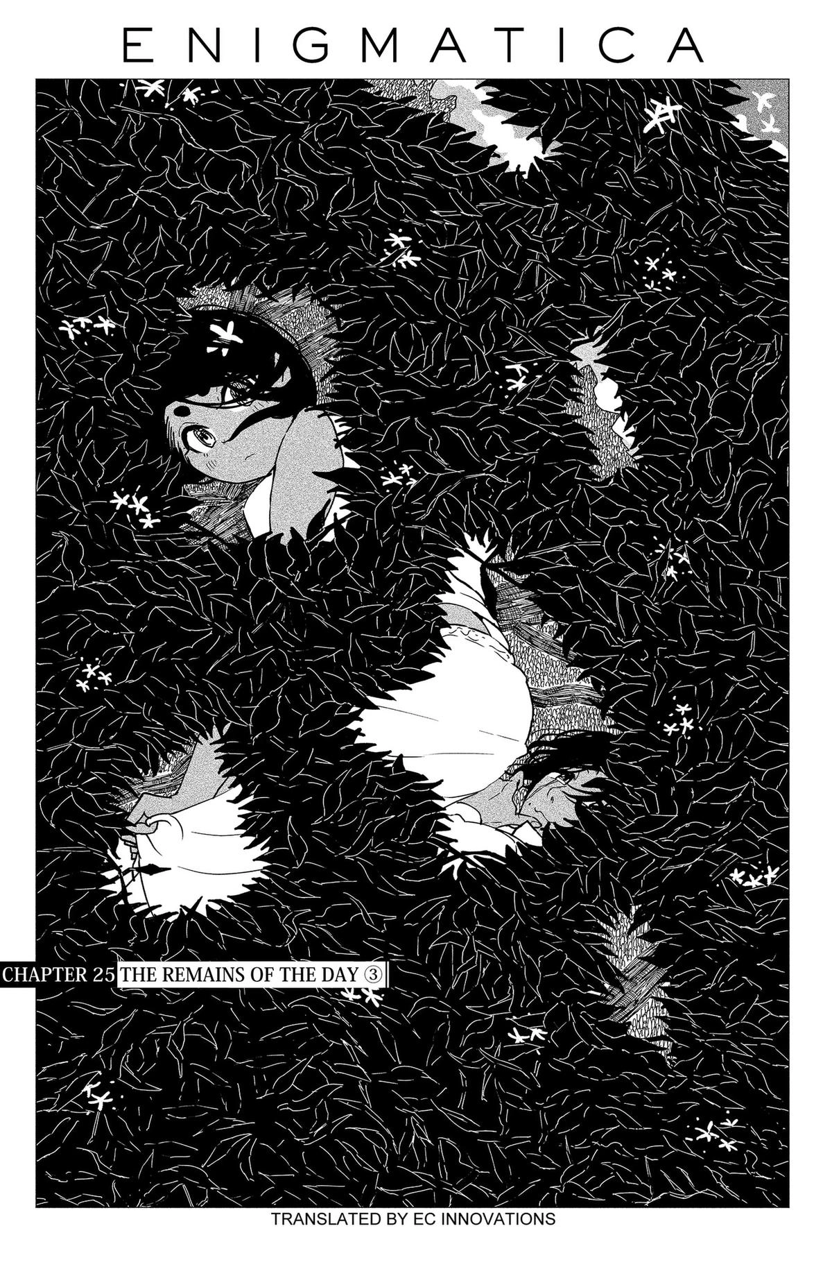 Enigmatica Chapter 25 page 1 - 