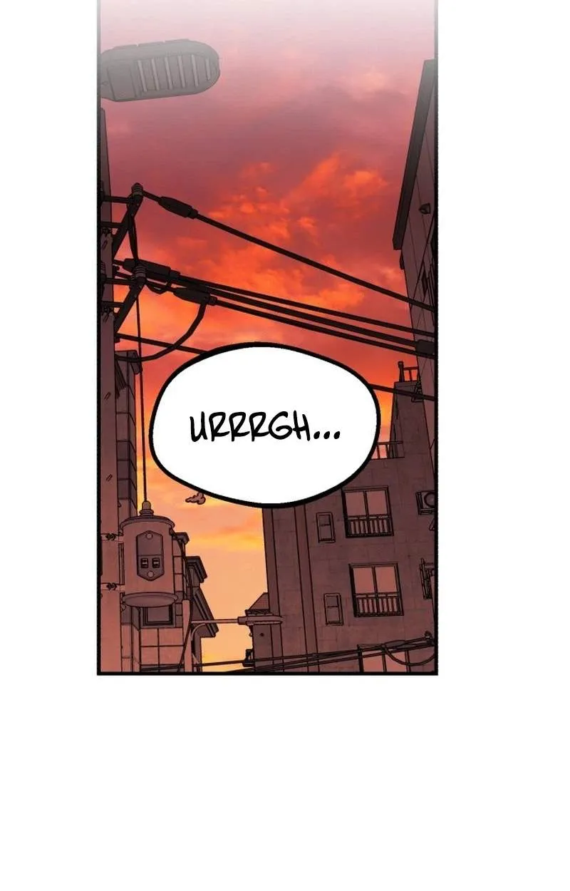 Error d echo Chapter 1 page 135 - 