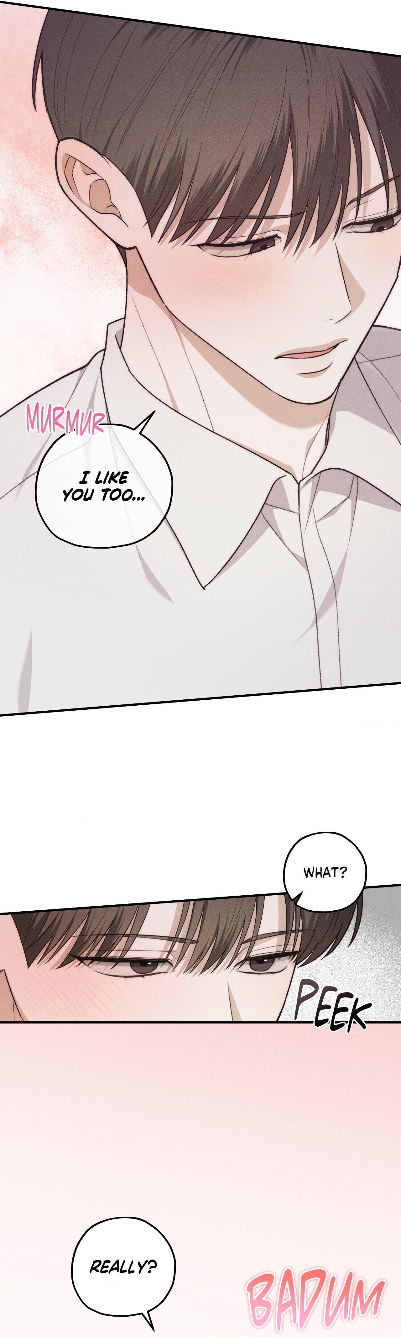 Error Detected Chapter 43.2 page 27 - 