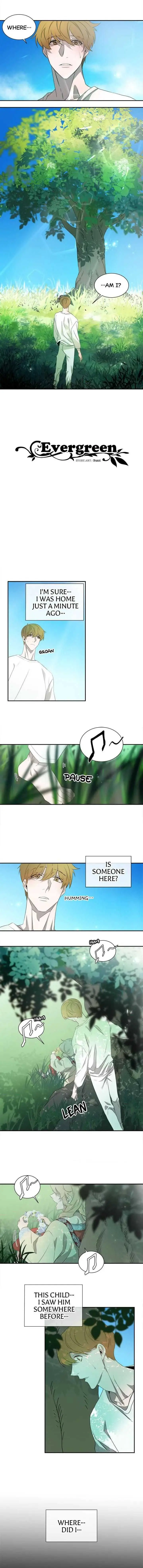 Evergreen (Yaoi) Chapter 32 page 1 - 