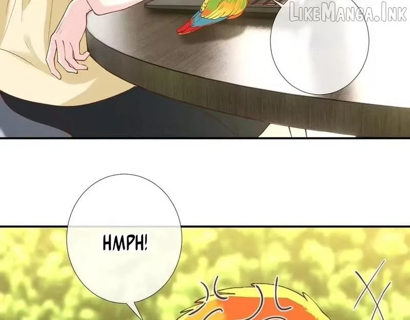 Everyone’s Darling Chapter 416 page 61 - 