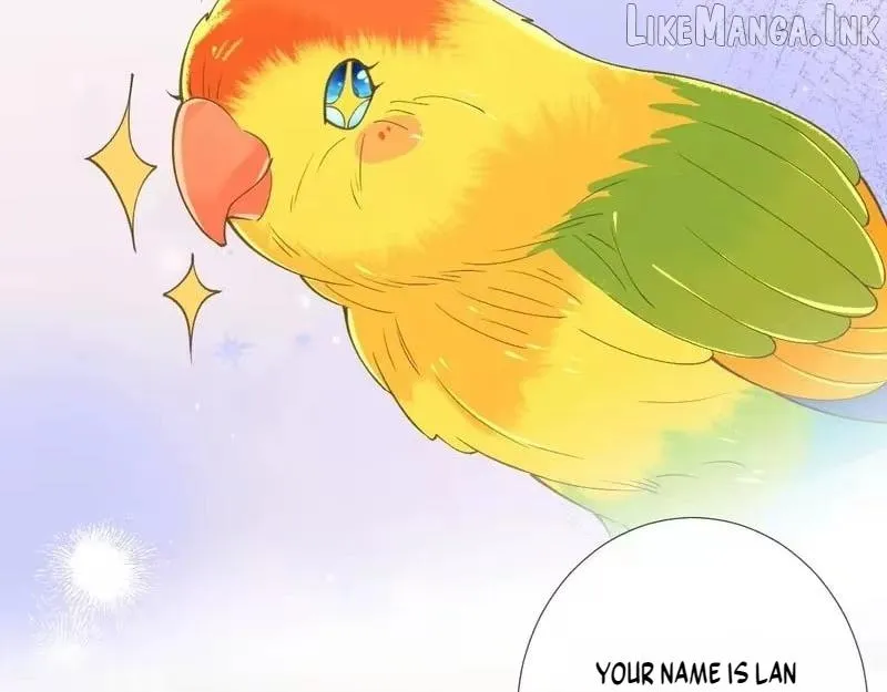 Everyone’s Darling Chapter 417 page 45 - 