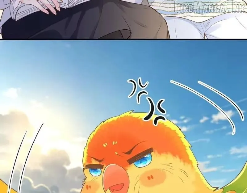 Everyone’s Darling Chapter 418 page 15 - 