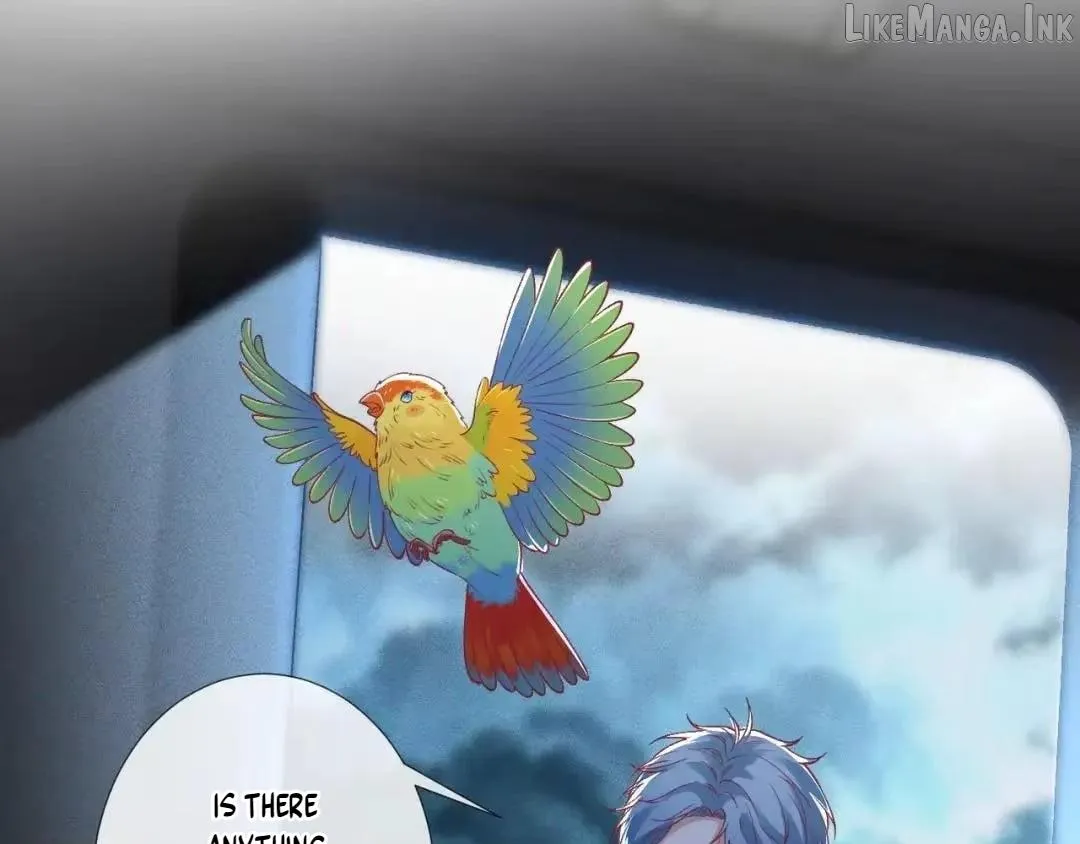 Everyone’s Darling Chapter 420 page 67 - 