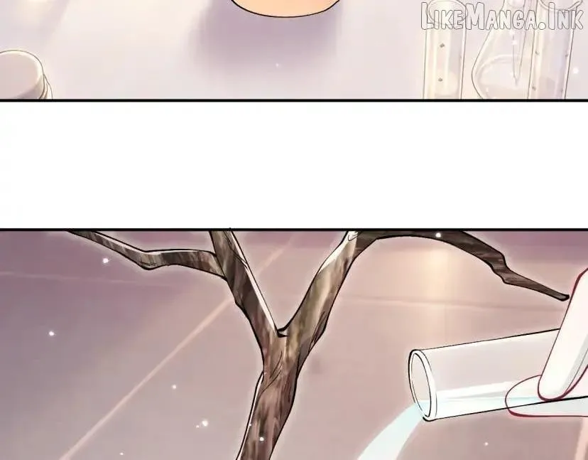 Everyone’s Darling Chapter 426 page 81 - 