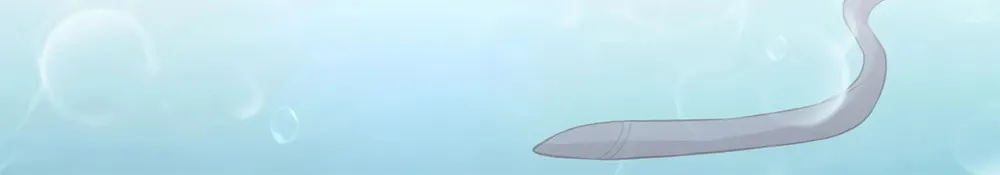 Evolution from Carp to Divine Dragon Chapter 39 page 77 - 