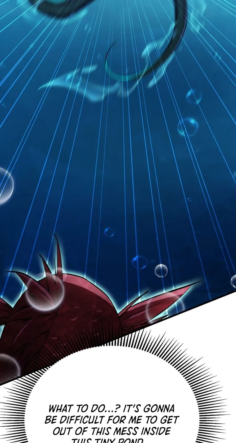 Evolution from Carp to Divine Dragon Chapter 4 page 4 - 