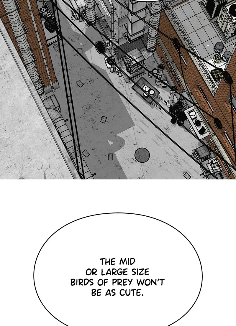 Eyes Chapter 10 page 78 - 
