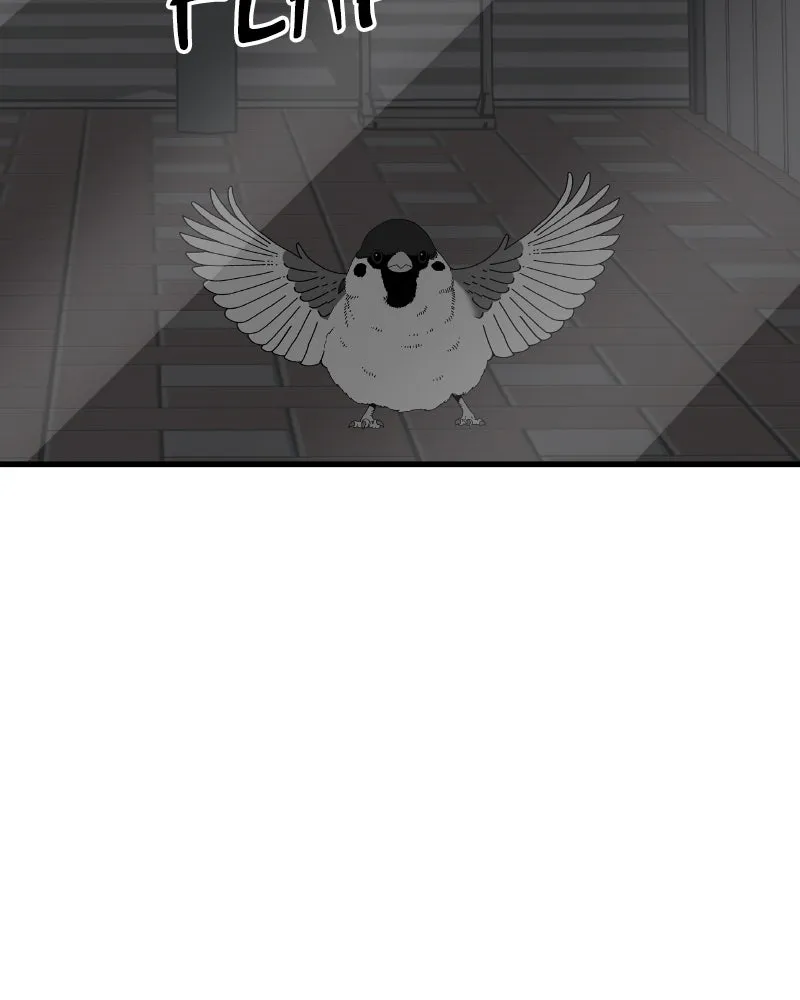 Eyes Chapter 47 page 145 - 