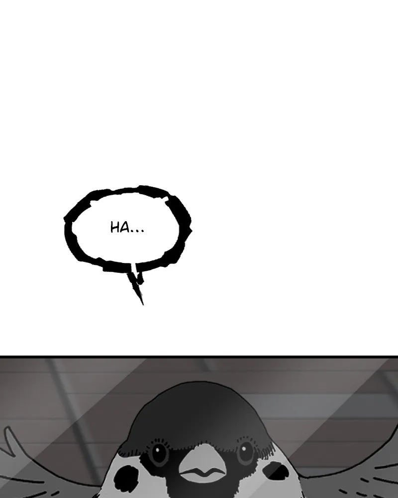 Eyes Chapter 47 page 146 - 