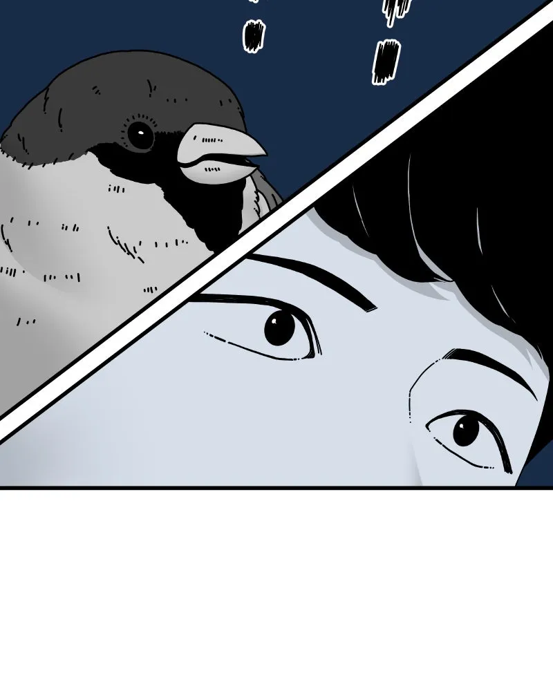 Eyes Chapter 52 page 55 - 