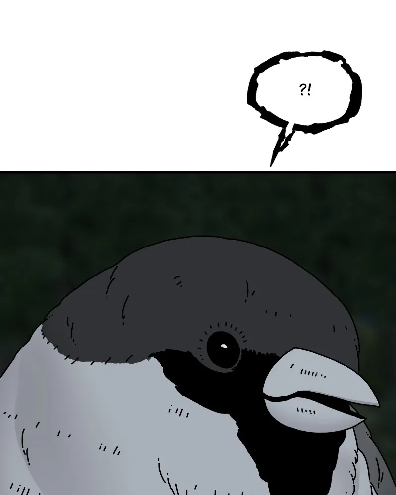 Eyes Chapter 52 page 73 - 