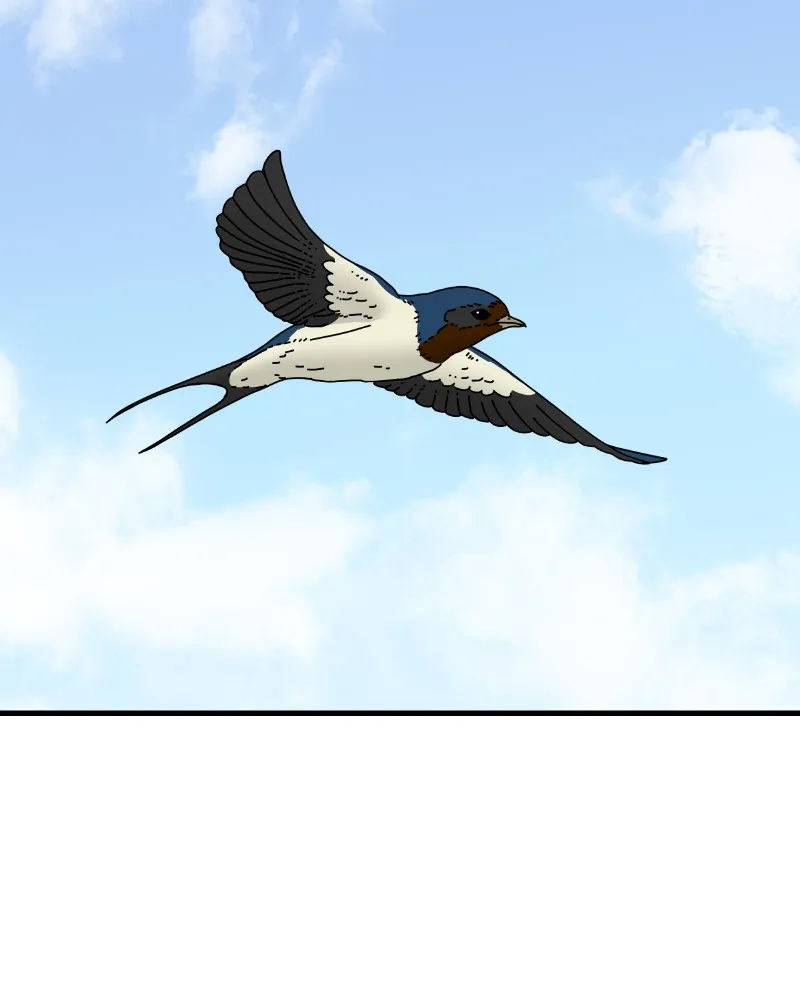 Eyes Chapter 54 page 38 - 