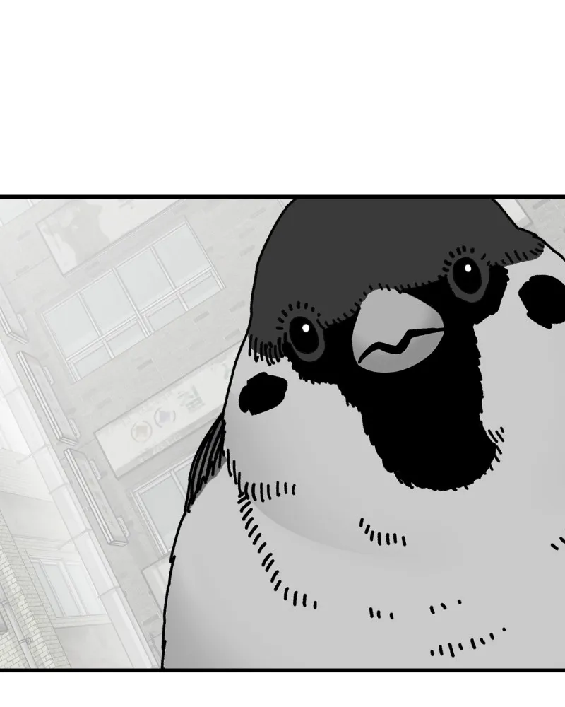 Eyes Chapter 56 page 181 - 