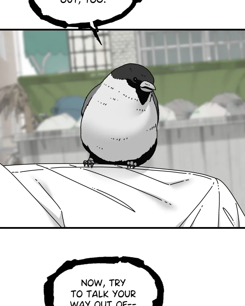Eyes Chapter 57 page 35 - 