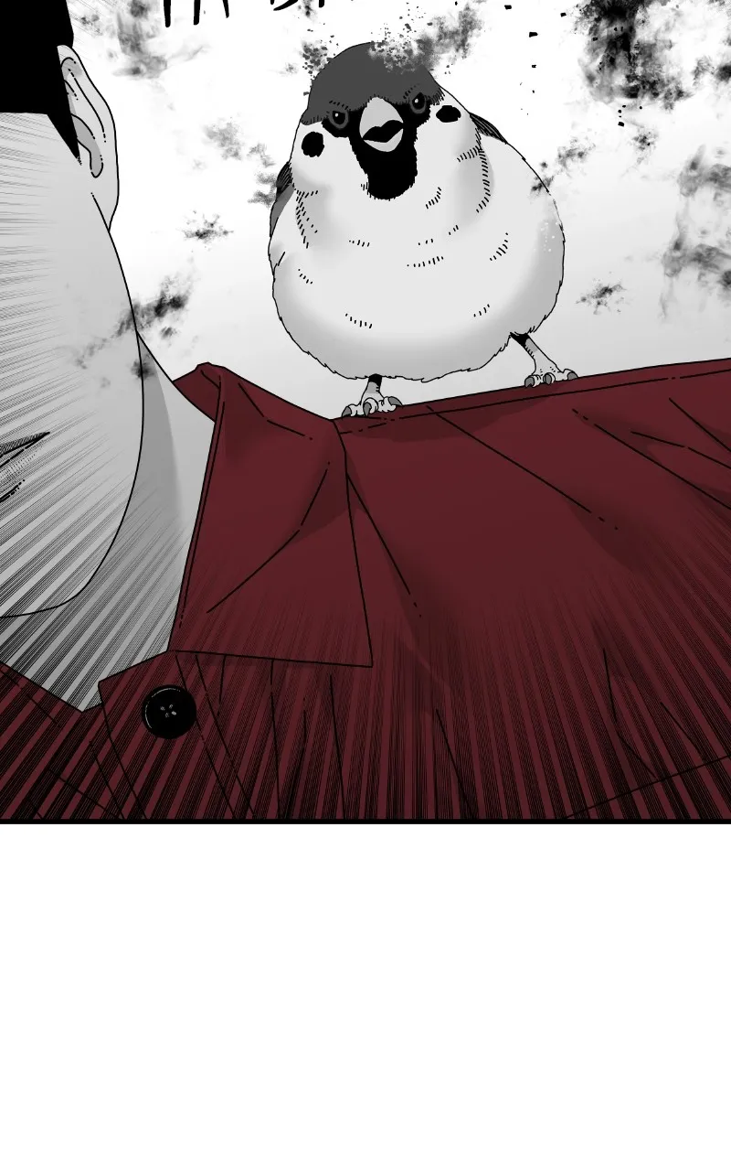 Eyes Chapter 84 page 169 - 