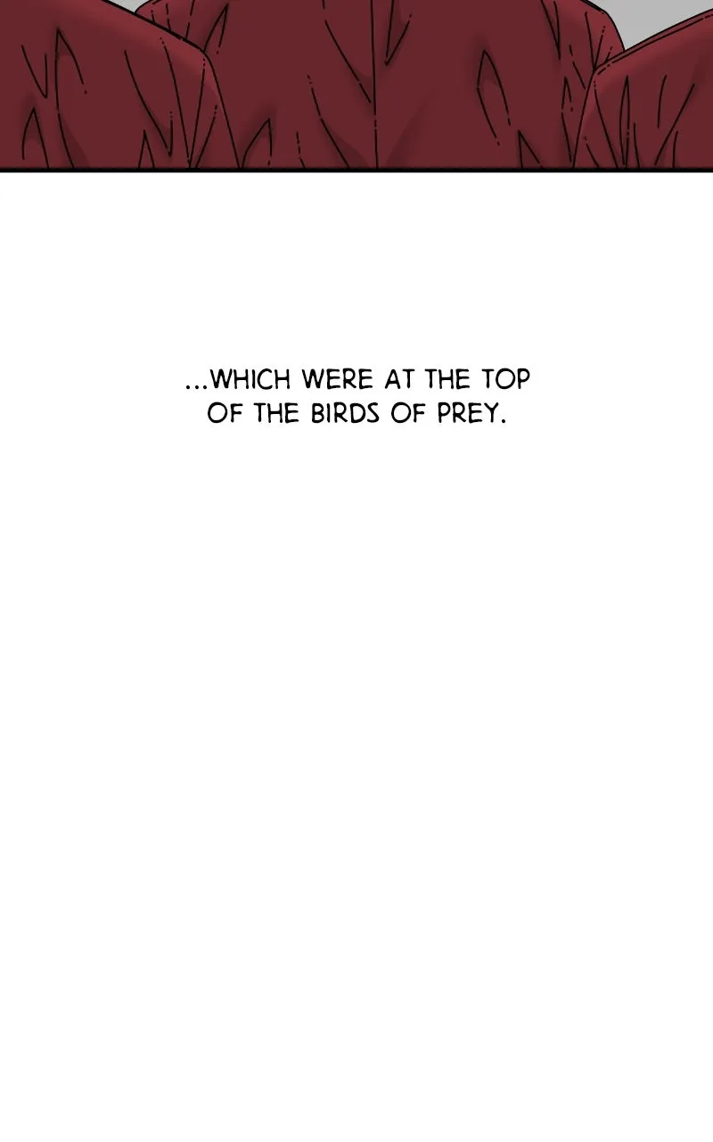 Eyes Chapter 85 page 34 - 