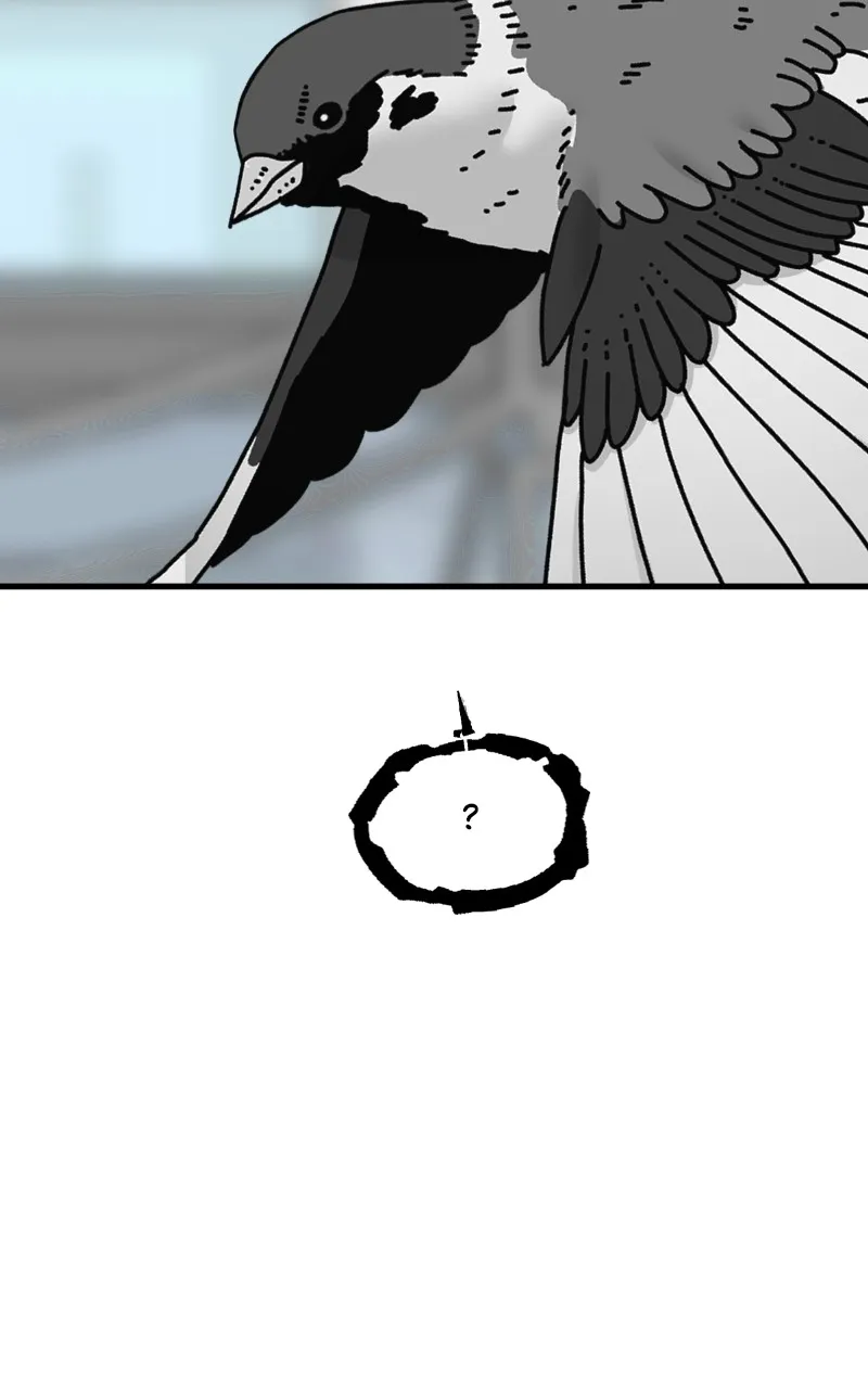 Eyes Chapter 90 page 79 - 