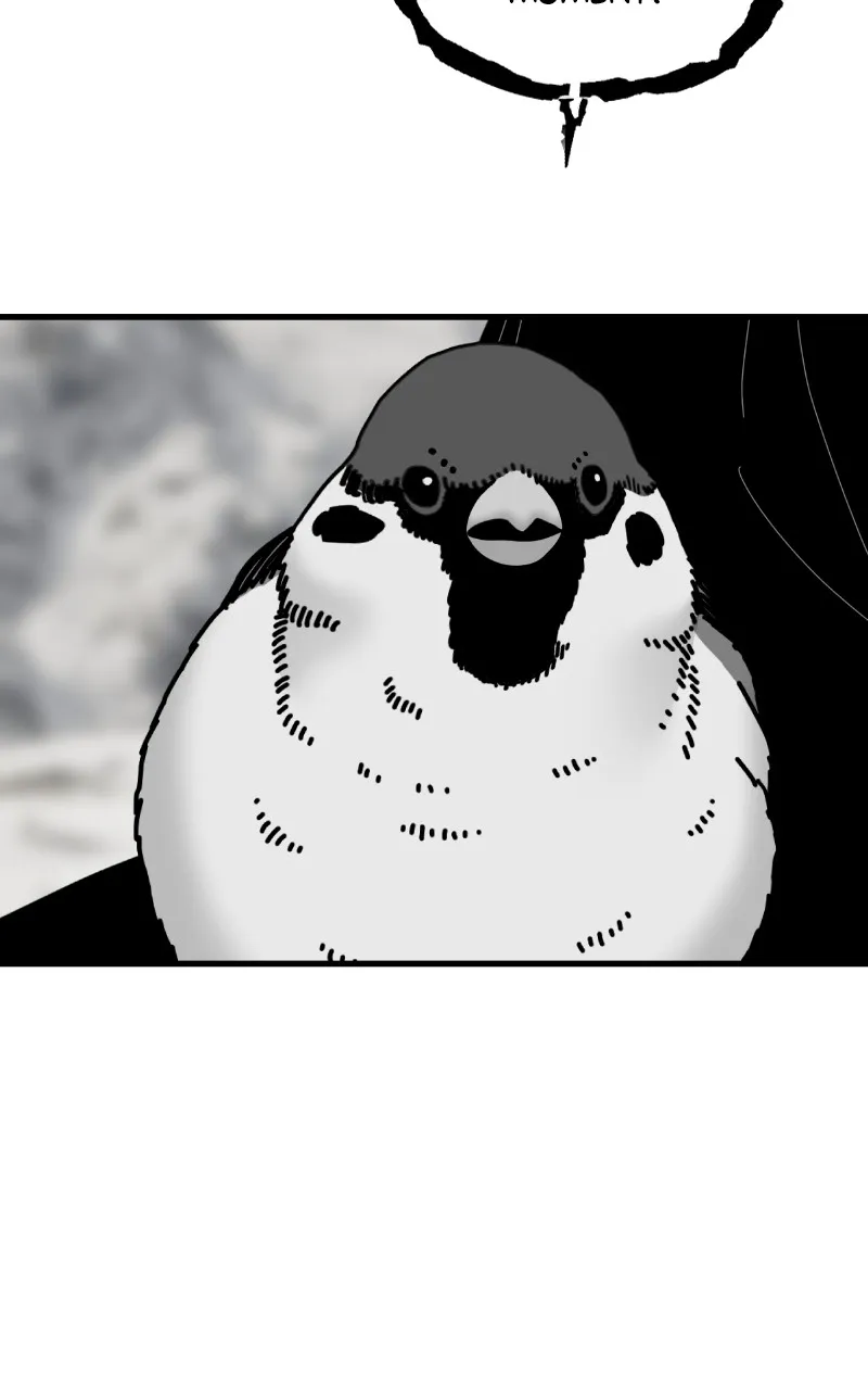 Eyes Chapter 92 page 62 - 