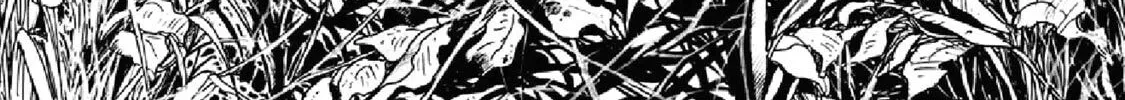F Chapter 292 page 2 - 